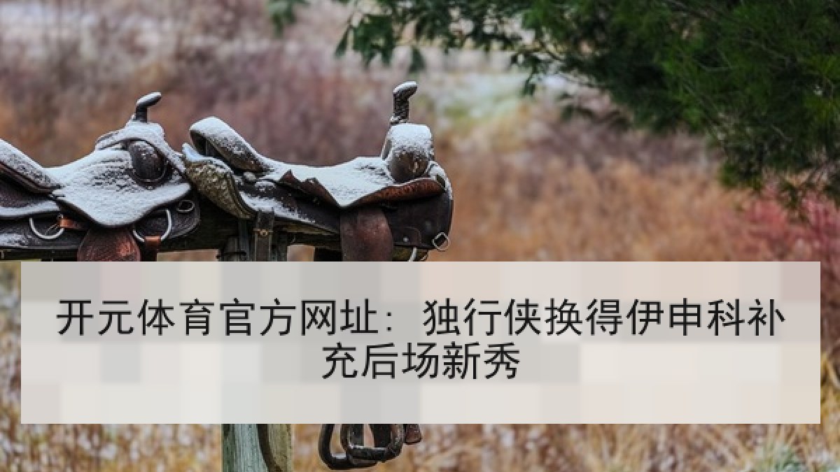开元体育官方网址: 独行侠换得伊申科补充后场新秀