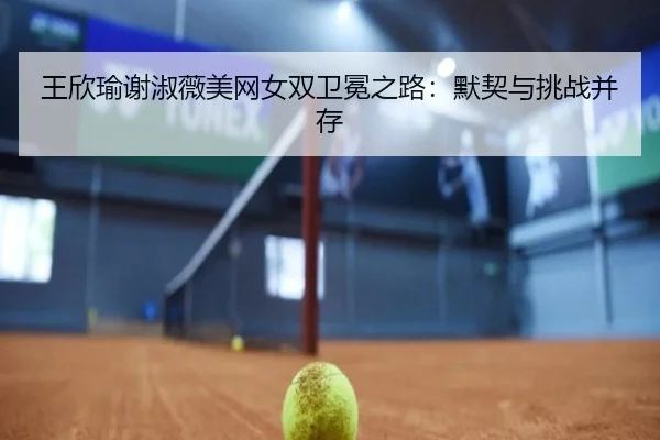 wang-xin-yu-xie-shu-wei-mei-wang-nv-shuang-wei-mian-zhi-lu-mo-qi-yu-tiao-zhan-bing-cun-2-791.jpg
