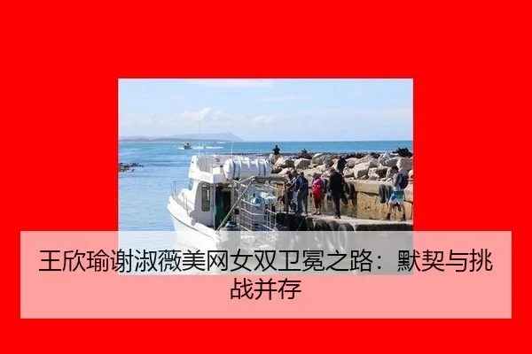 王欣瑜谢淑薇美网女双卫冕之路：默契与挑战并存