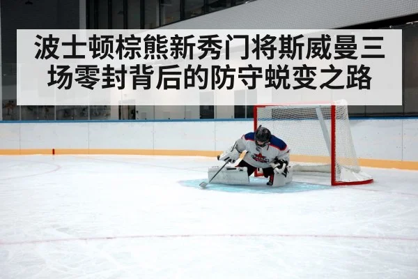 ice hockey goaltender save